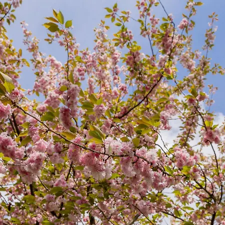 شقة Spacious For 6 People Near The Old Town By Renters *